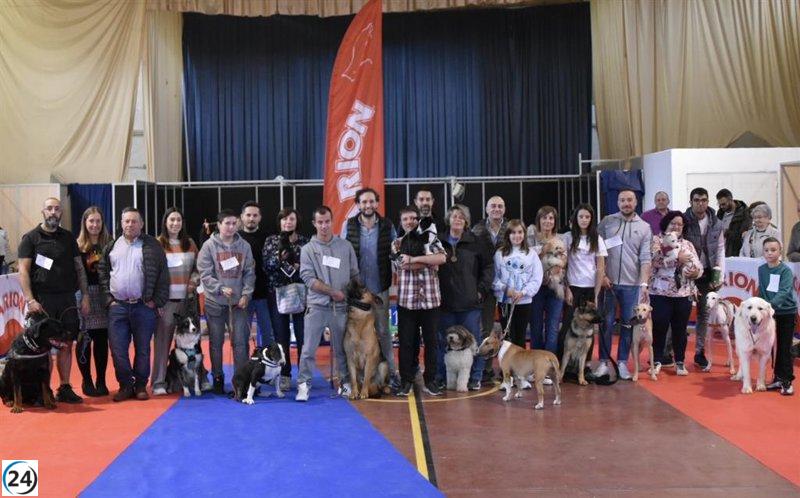 Gran éxito en la edición anual del Concurso Nacional de Belleza Canina en Monzón, Huesca.