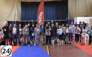 Gran éxito en la edición anual del Concurso Nacional de Belleza Canina en Monzón, Huesca.