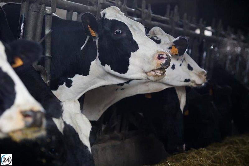 Consejeros agrícolas de VOX exigen a Luis Planas una vacuna obligatoria para salvaguardar al ganado de la EHE