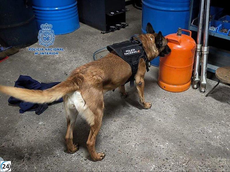 La Policía Nacional logra desmantelar una red delictiva especializada en tráfico de drogas duras