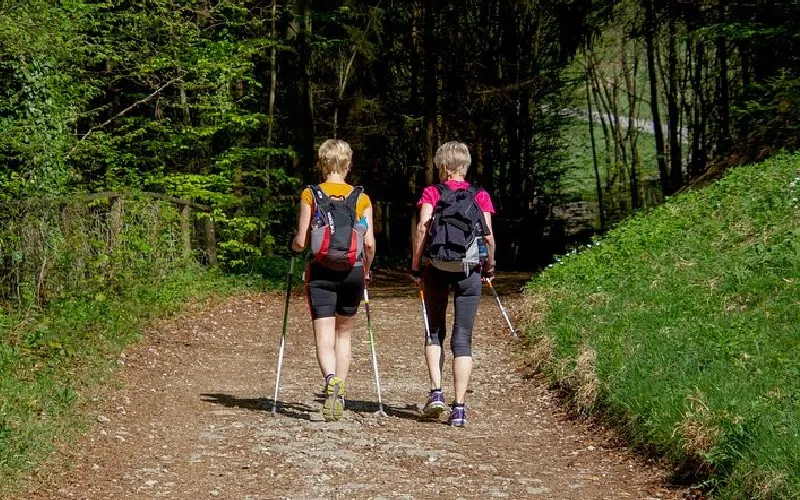 Descubre la belleza de los bosques aragoneses practicando Nordic Walking