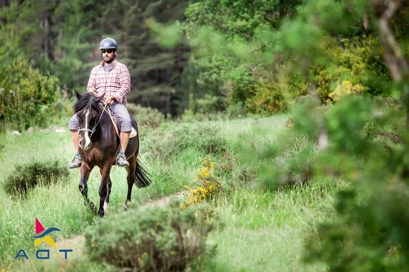 Rutas a caballo por los más hermosos paisajes de Aragón