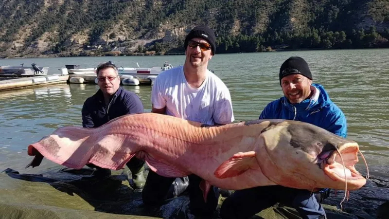 La pesca deportiva en Aragón: lugares y especies