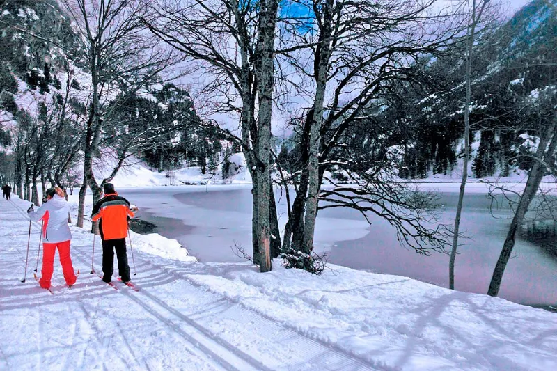 Esquí de fondo en Aragón: disfruta de la naturaleza nevada
