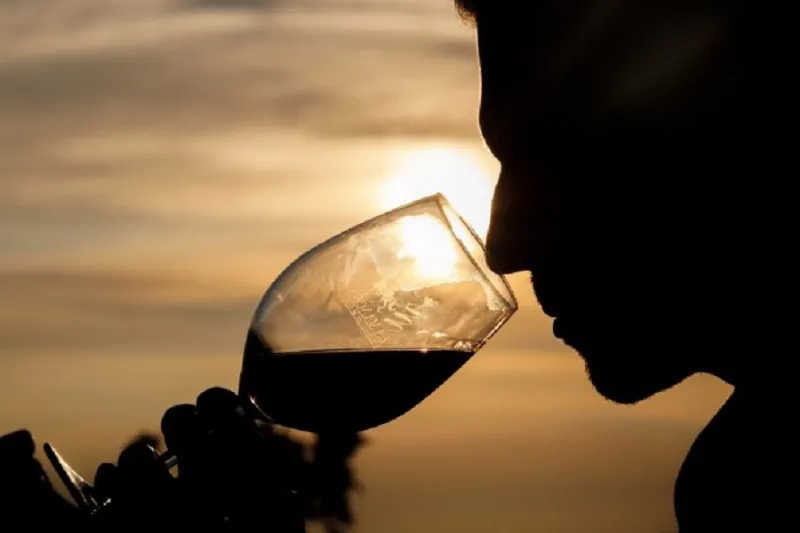Degusta la gastronomía de la tierra en la ruta del vino