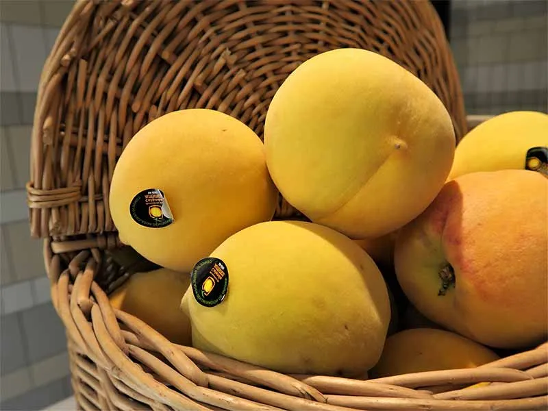 Los melocotones de Calanda, un sabor único