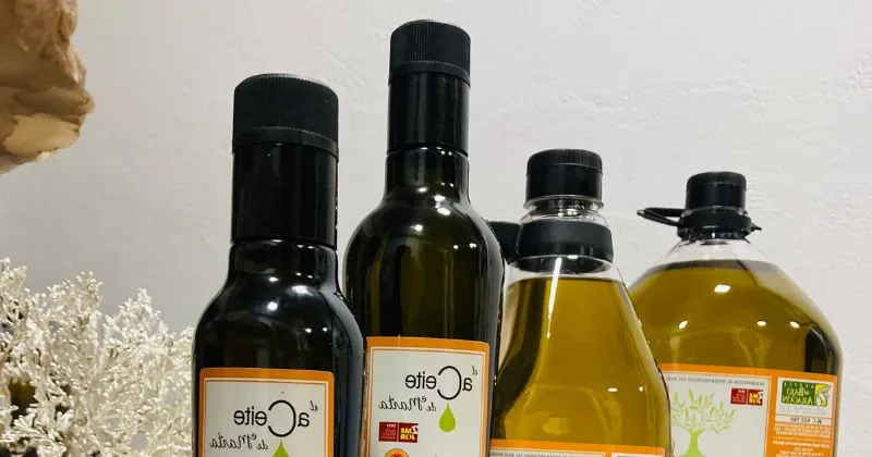 Los matices del aceite de oliva del Bajo Aragón