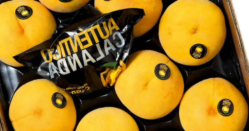 La fiesta del melocotón de Calanda