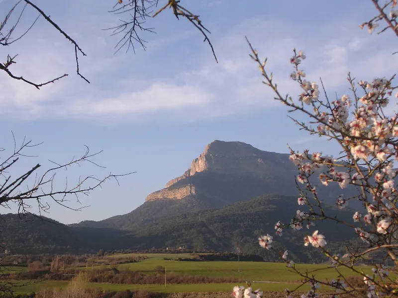 La leyenda del dragón de Jaca